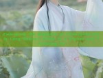 Embracing the Modern Wave:The Evolution of Cheongsam Dress with Point-Pattern Innovations