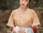 Exploring the World of Childrens Summer Hanfu Fashion