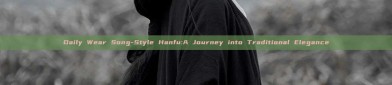 Daily Wear Song-Style Hanfu:A Journey into Traditional Elegance