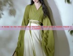 The Enchanting Tale of Daji:The Confusing Beauty in Hanfu and Her Nine-Tailed Fox Mystery