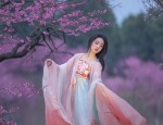 Chinese Red Traditional Costume Set for Women:The Splendor of Hanfu Fashion