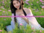 The Allure of Traditional Chinese Cheongsam:The Revival of the Republic-Style Da Xiaoshu Qipao