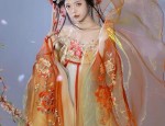 Southern Splendor:The Cultural Revival of Hanfu in the Realm of Fish and Splendidry