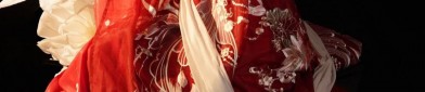 The Clove Knot in Traditional Chinese Hanfu:A Cultural Journey
