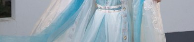 The Rise of Li Lianhuas Hanfu Cape:A Journey into Traditional Chinese Elegance