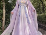 The Splendor of Red and Blue Tang-Style Hanfu:A Journey into Traditional Chinese Clothing