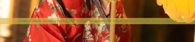 Modern Qipao Fashion:Young and Stylish Long-sleeved Flag袍 Reimagined for Modern Women