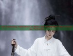 The Enchanting Combination of Shoes and Cheongsam:A Tale of Fashion Perfection