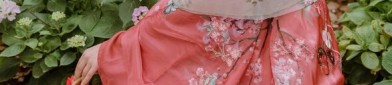Adult Hanfu:The Revival of Traditional Chinese Fashion