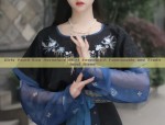 Ancient Beauty in Traditional Hanfu Costumes:A Glimpse into the World of Ancient Chinese Elegance