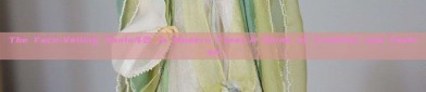 The Face-Veiling Hanfu斗笠 in Modern Times:A Blend of Tradition and Fashion