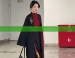 A Summer of Cultural Splendor:The 12-Year-Old Girl in Traditional Hanfu Attire