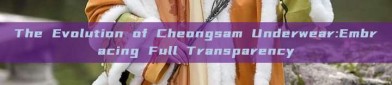 The Evolution of Cheongsam Underwear:Embracing Full Transparency