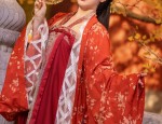 The Essence of Tibetan-Style Clothing and the Splendor of Hanfu Fashion