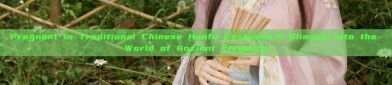 Pregnant in Traditional Chinese Hanfu Costumes:A Glimpse into the World of Ancient Elegance