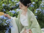 Wang Zhaojuns Splendid Beauty in the Flowing Robes of the Phoenix