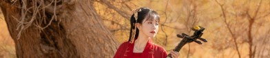 Little Girls Bubble-袖马面裙:Fashionable and Timeless