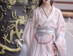 Elegant Embroidery in Traditional Horseface Skirt:A Journey into High-End Fashion Customization