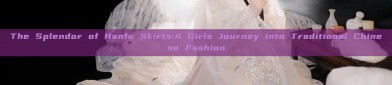 The Splendor of Hanfu Skirts:A Girls Journey into Traditional Chinese Fashion