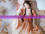 Ancient Costume Performance Gowns for Girls:A Journey into Traditional Elegance