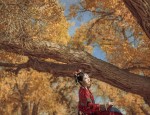 Winter Warmth in Adult-Size Hooded Hanfu Robes for Women A Guide to the Perfect Winter Cape