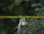 Summer Elegance:The Enchanting World of Hanfu for Women