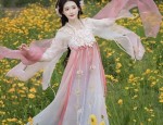 The Rise of Hanfu Waistbands:Understanding the Traditional Beauty of Hanfu Yifeng