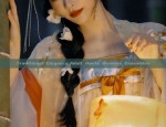 Traditional Elegance:Adult Hanfu Womens Ensembles