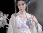 Embracing the Splendor:The Art of the Cheongsams Brooch