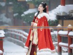 Embroidery on Horseface Skirt and Blouse:A Traditional Beauty in Detail