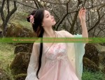 Lihua Xu Original Hanfu Boutique Embracing the Essence of Traditional Chinese Fashion