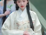 The Splendor of Hanfu:The Grandeur of Big Sleeves in the Northern and Southern Dynasties