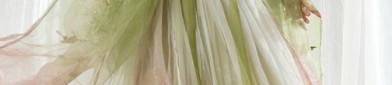 The Journey of Original Hanfu Fashion:36 Strategies