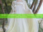 The Enchantment of Black Cheongsam Dancewear in Classical Dance