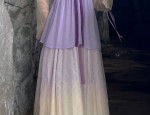 A枣红色旗袍上衣，A Glance into Traditional Elegance