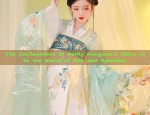 The Enchantment of Hanfu Nongown:A Delve into the World of Silk and Splendor