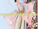 Embroidery Dragon Tang Suit:A Blend of Traditional Craftsmanship and Cultural Symbolism