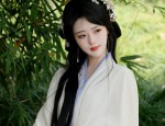 Photographic Props for Traditional Chinese Hanfu Costumes:A Guide