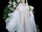2024 New Autumn Collection:Stylish Cheongsam with Belly-Covering Charm