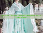 The Allure of Cold Elegance:The Cheongsam as a Refinement of Form and Substance