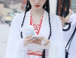 Hanfu Style Corset-Style Tops with Adjustable Straps and Built-in Breast Pads:A Closer Look