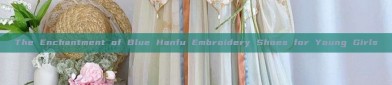 The Enchantment of Blue Hanfu Embroidery Shoes for Young Girls