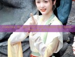 Exploring the Allure of Hanfu Fashion:The North Hall Ink Dye