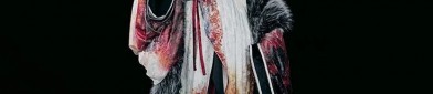 The U-Shaped Hairpin and Horseface Skirt:A Journey into Traditional Chinese Fashion