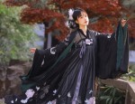 Embracing the Splendor:The Art of the Cheongsams Brooch