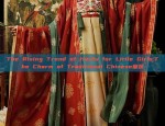 The Rising Trend of Hanfu for Little Girls:The Charm of Traditional Chinese童装