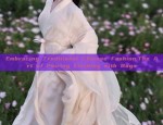 The Evolution and Essence of Chinese Dance Costume:The Cheongsam as a Symbol of Cultural Heritage