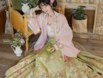 The Splendid Charm of Placket-Closed Cheongsam:A Closer Look at its History and Design