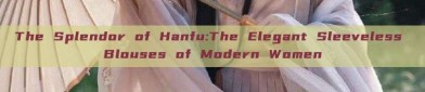 The Splendor of Hanfu:The Elegant Sleeveless Blouses of Modern Women