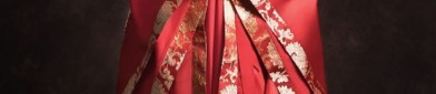 Elegant Beauty of Traditional Chinese Hanfu for Women